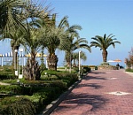 83-летний астраханец пошел за пенсией, а уехал в Сочи