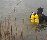 За сутки астраханские водоемы унесли жизни нескольких человек 