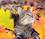 Начало недели подарит астраханцам очень теплый день