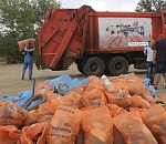 2/3 собранного на субботниках мусора отправят на переработку