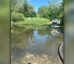 С Астрводоканала взыскали 2 миллиона рублей штрафа за озеро из фекалий