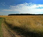 В Астраханской области фермер обнаружил ужасную находку