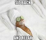 Астраханцы так много работают, что не успевают жить