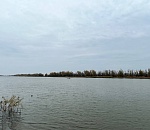 В Астраханской области перевернулась лодка с пятью пассажирами