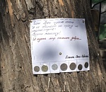 Чудо-дерево. В память об умершей девочке в Астрахани раздают монеты