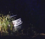 Под Астраханью джип, пытаясь объехать корову, оказался в реке