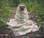 Завтра в Астрахани будет прохладно