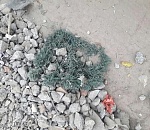 В Астрахани дорогу, "отремонтированную" кусками надгробий, зачистили по требованию прокуратуры 