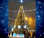 Сегодня с зажиганием огней на главной елке в Астрахани начинается серия уличных праздничных программ