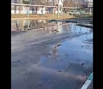 Фекалии залили еще один астраханский двор: видео