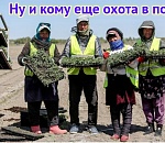 Трудовые мигранты, welcome! С Астраханской области сняли ограничение на иностранных рабочих в овощеводстве