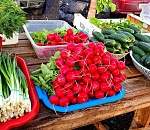 В Астрахани цены на продукты первой необходимости снизились