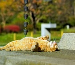 Какая погода встретит астраханцев завтра