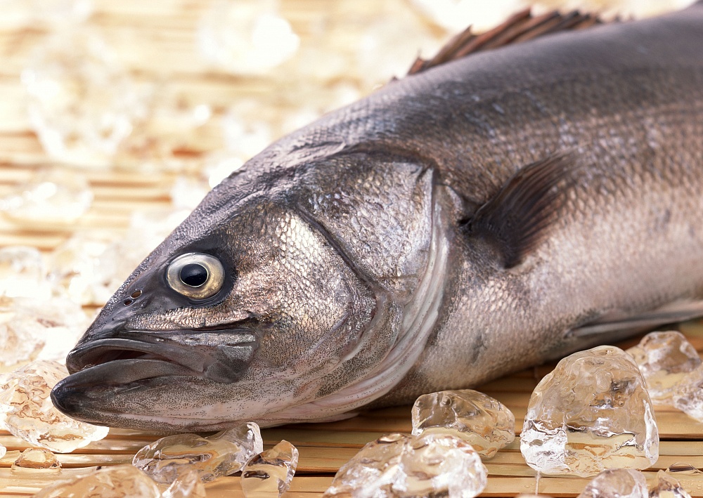 Астраханские дорожные полицейские изъяли 60 килограммов осетра