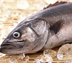 Астраханские дорожные полицейские изъяли 60 килограммов осетра