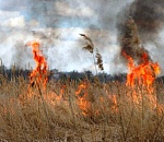 Предупреждение МЧС: почти на всей территории Астраханской области может быть запах гари 