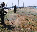 В Астрахани с начала года скосили более миллиона «квадратов» сорной травы