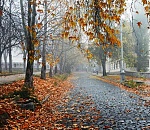 Погода в Астраханской области вновь делает шажок в сторону тепла