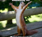 Ад пока не наступит. Погода в июне удивит астраханцев