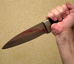 В Астраханской области произошло убийство на ферме