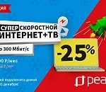 Новогодняя акция от «РЕАЛ»: скоростной интернет 300 Мбит/с + ТВ со скидкой 25% для жителей квартир и домов!