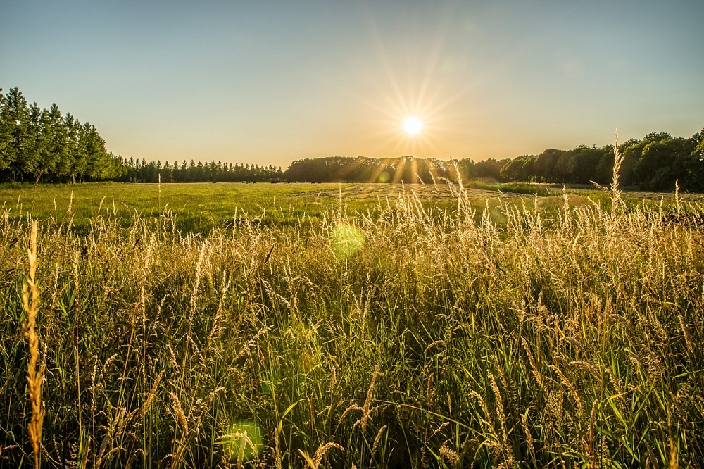 Астраханцам завтра достанется жара, хотя в области прольется дождь