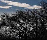 В Астрахани сохраняется сильный ветер