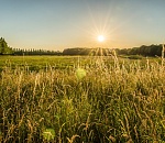 Астраханцам завтра достанется жара, хотя в области прольется дождь