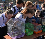 Трусовский район продолжает праздничную программу Дня города