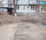 В Астрахани спиленные ветки мешают водителям парковаться и жить