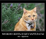 В Астраханской области сотрудникам кооператива два месяца не платили зарплату