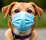 В крупном селе под Астраханью обнаружили бешенство