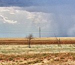 Астраханских многодетных отправят на свежий воздух