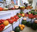 Астраханская область выращивает почти три четверти томатов и четверть  лука в России