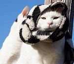 Завтра в Астрахани будет прохладно и ветрено