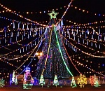 В Астрахани начали устанавливать елку на Мостстрое 