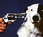 Собаки, мусор, террористы и прочие «казни» Мумринские