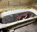 Астраханский суд оштрафовал семейную пару, пытавшуюся сбыть  свыше 6,8 тонн немаркированной рыбной продукции