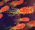 Эпидемия? В Астрахани с начала года зафиксировано в 6 раз больше случаев кори, чем за весь 2018 год