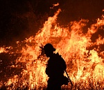 В Астраханской области до сих пор тушат остров Крестовый