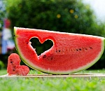 В Астраханской области выбирают проект арбузного памятника