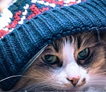 В Астрахани в субботу немного похолодает, но днем температура поднимется выше нуля