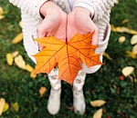 В воскресенье температура по Астраханской области вновь поднимется до +25°