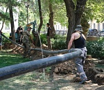 Мэрия Астрахани переводит городские зеленые зоны на автоматический полив