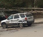 Первые жертвы непогоды в Астрахани: дерево упало на машину