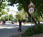 В Астрахани занялись опилкой веток, закрывающих дорожные знаки у школ 