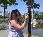 Японские софоры, пострадавшие от рук подростка на Лебедином озере, начали реанимировать