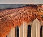 В пятницу в Астрахани начнется долгожданное потепление