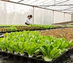 Астраханское правительство помогает в реализации новых инвестпроектов