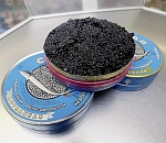 Производство черной икры в Астраханской области в 2015 году увеличат на 15%